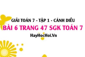 Giải bài 6 trang 47 Toán 7 Tập 1 SGK Cánh Diều